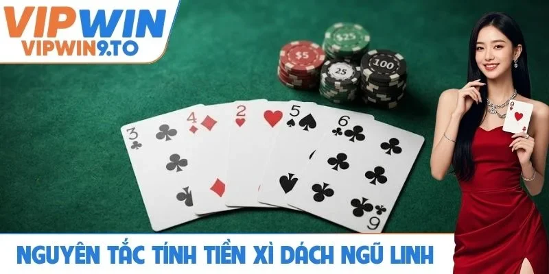 Phân tích nguyên tắc tính tiền xì dách ngũ linh